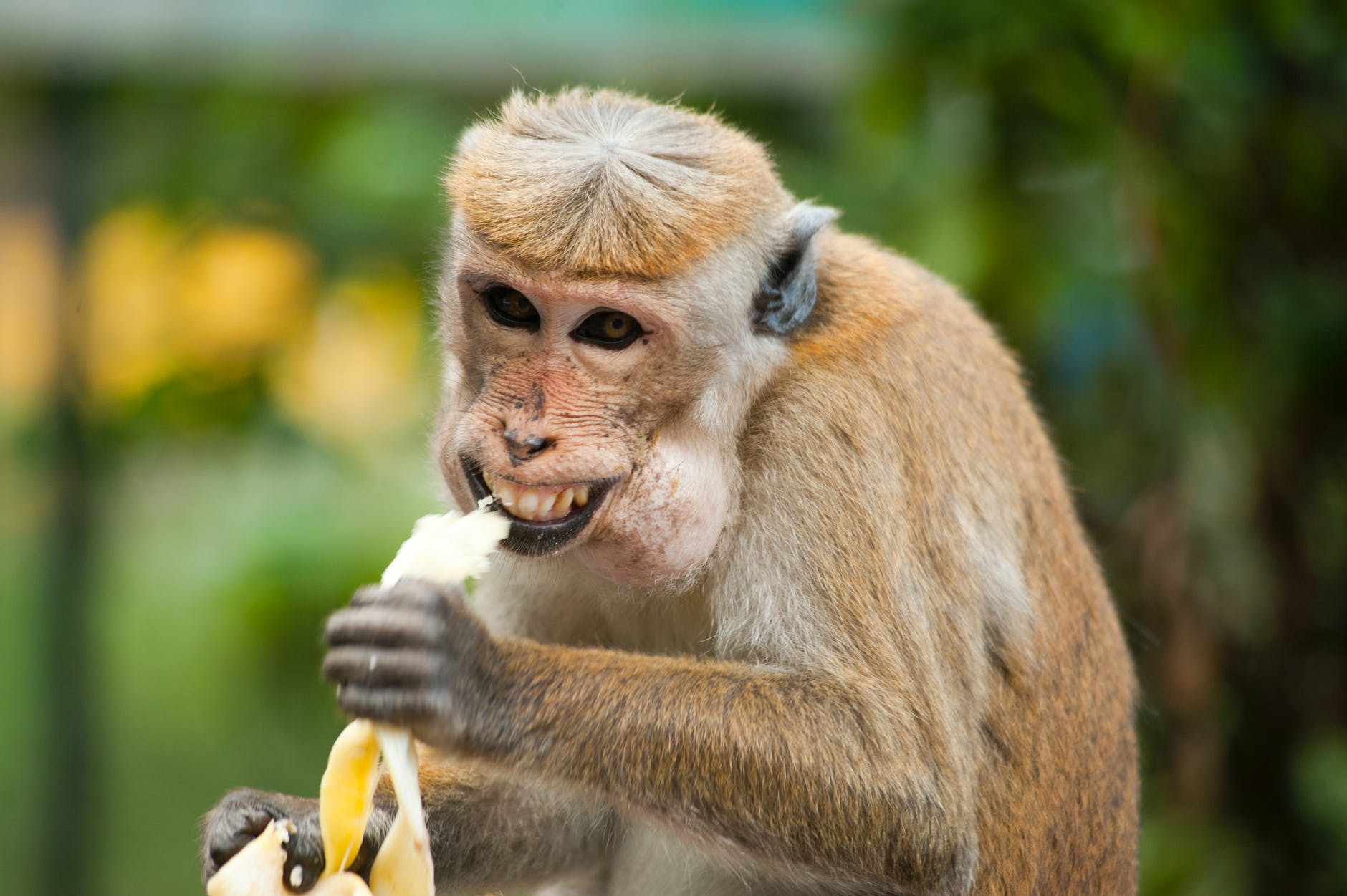 Longhorns face long climb after off-field monkey business